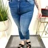 Iris & Rainbow Boutique #M930 In My Head Zenana Jeans