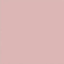 Iris & Rainbow Boutique #L663 Delicate Me Reversible Top New Arrivals