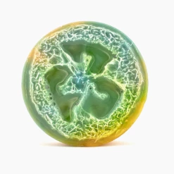 Iris & Rainbow Boutique #M427 Loofah Soap (Fruit) New Arrivals