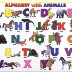 Iris & Rainbow Boutique #H620 The Incredible Placemats New Arrivals