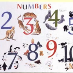 Iris & Rainbow Boutique #H620 The Incredible Placemats New Arrivals