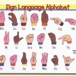 Iris & Rainbow Boutique #H620 The Incredible Placemats New Arrivals