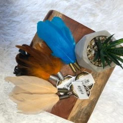 Iris & Rainbow Boutique New Arrivals #730 Bullet Feather Earrings