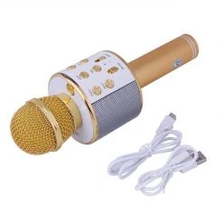 Iris & Rainbow Boutique #H255 Wireless Microphone