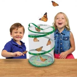 Iris & Rainbow Boutique New Arrivals #K154 Watch Them Grow (Butterfly Garden)