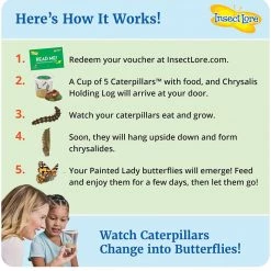 Iris & Rainbow Boutique New Arrivals #K154 Watch Them Grow (Butterfly Garden)