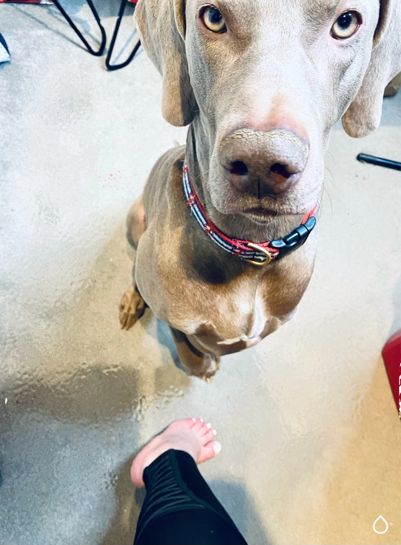 Iris & Rainbow Boutique New Arrivals #L562 Be My Babe Knit Leggings 3 Iris & Rainbow Boutique New Arrivals #L562 Be My Babe Knit Leggings