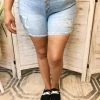 Iris & Rainbow Boutique #K26 Fly Girl Judy Blue High Waist Button Fly Shorts