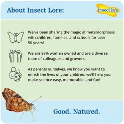 Iris & Rainbow Boutique New Arrivals #K154 Watch Them Grow (Butterfly Garden)