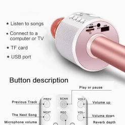 Iris & Rainbow Boutique #H255 Wireless Microphone