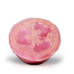 Iris & Rainbow Boutique #540 Organic Loofah Soaps Best Sellers!